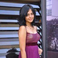 Bindu Madhavi Hot in Pink Gown Dress - Pictures | Picture 120933
